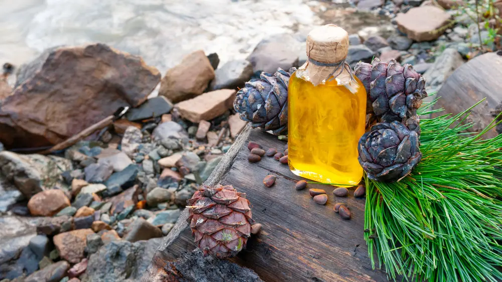 Масло кедрового ореха