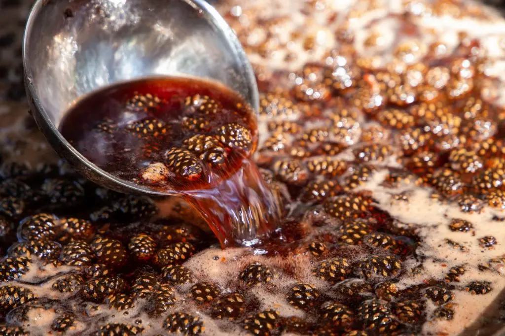 Приготовление варенья из сосновой шишки