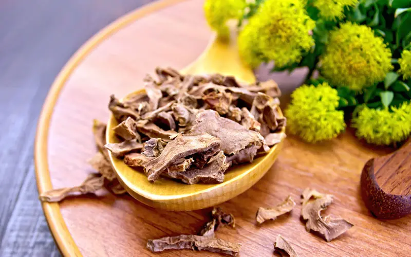 Сушеные корни Родиолы Розовой