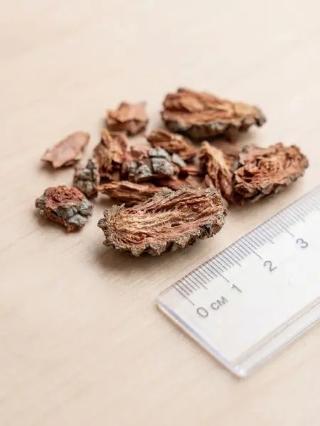 Мульча для комнатных растений из шишек резаных 6 кг