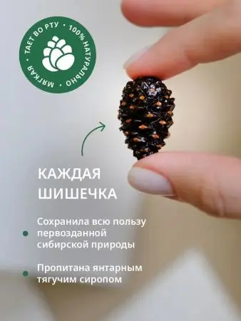Цукаты из сосновых шишек на шпажке 25 г