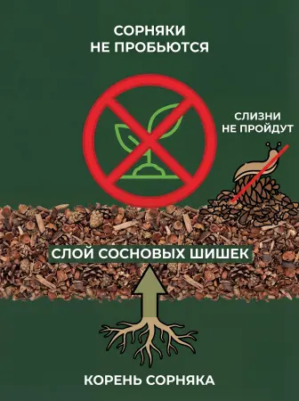 Мульча для комнатных растений из шишек резаных 6 кг