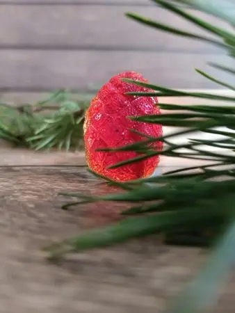 Мармелад ягодный Брусничка в крафтовой коробке, 110г