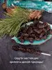 Цукаты из сосновых шишек на шпажке 25 г