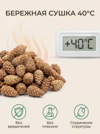 Мульча для сада из шишек целая 500 гр