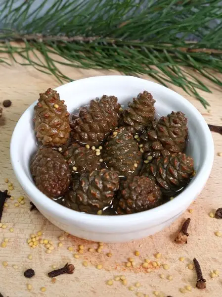 Каперсы из сосновых шишек маринованные с пряностями, 200 мл