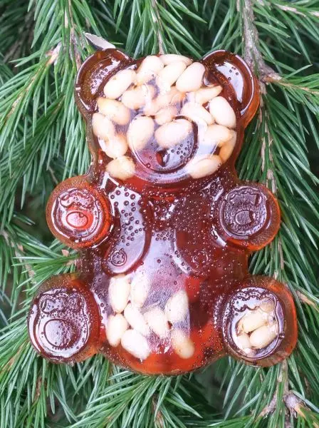 Мармелад сосновый "Мишка" на пектине с кедровыми орешками, 90 г