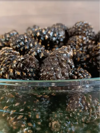 Цукаты из сосновых шишек 1 кг