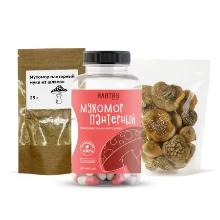 Комбо набор Пантерный 3в1: микродозинг из мухомора, мука из шляпок и сушеные шляпки Комбо набор Пантерный 3в1: микродозинг из мухомора, мука из шляпок и сушеные шляпки