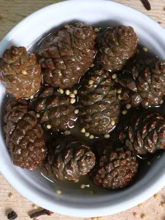 Каперсы из сосновых шишек маринованные с пряностями, 200 мл