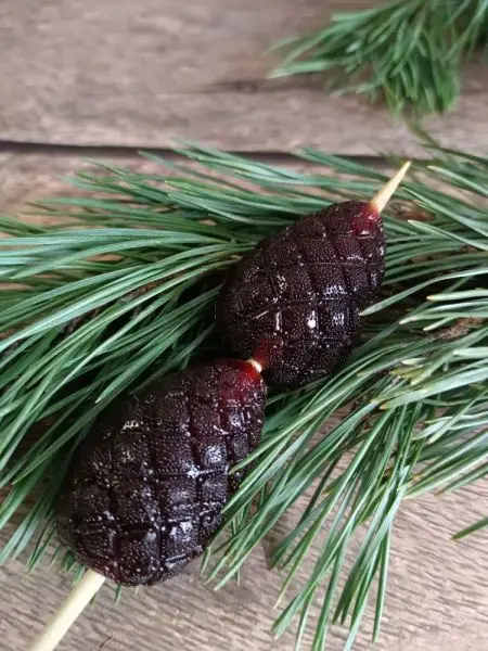 Мармелад сосновый "Байкал", 1 кг