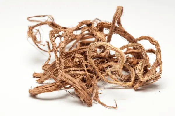 Красный корень (копеечник сушеный)